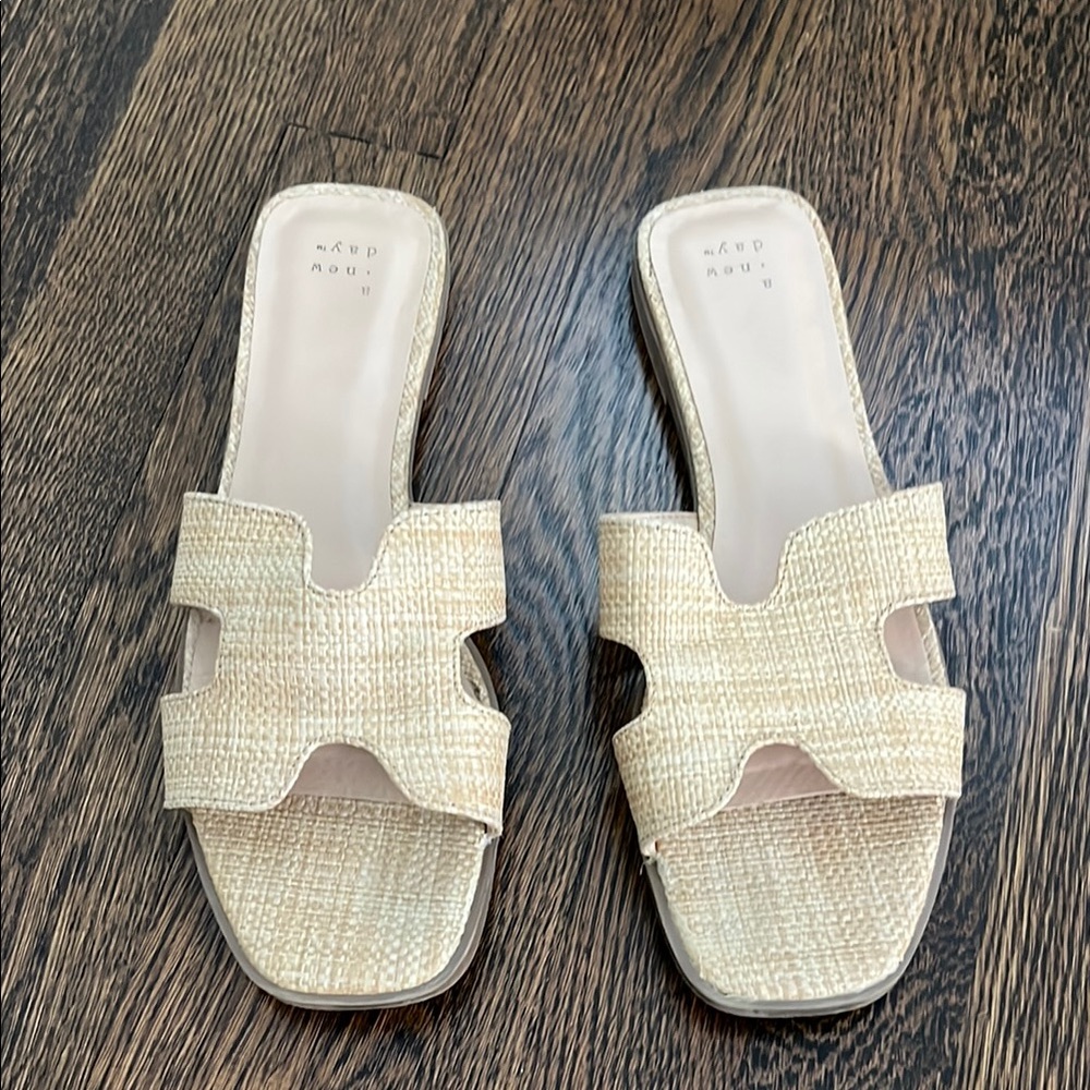 Women's Beige Seageass Slide Sandals in Hermes Oren Style